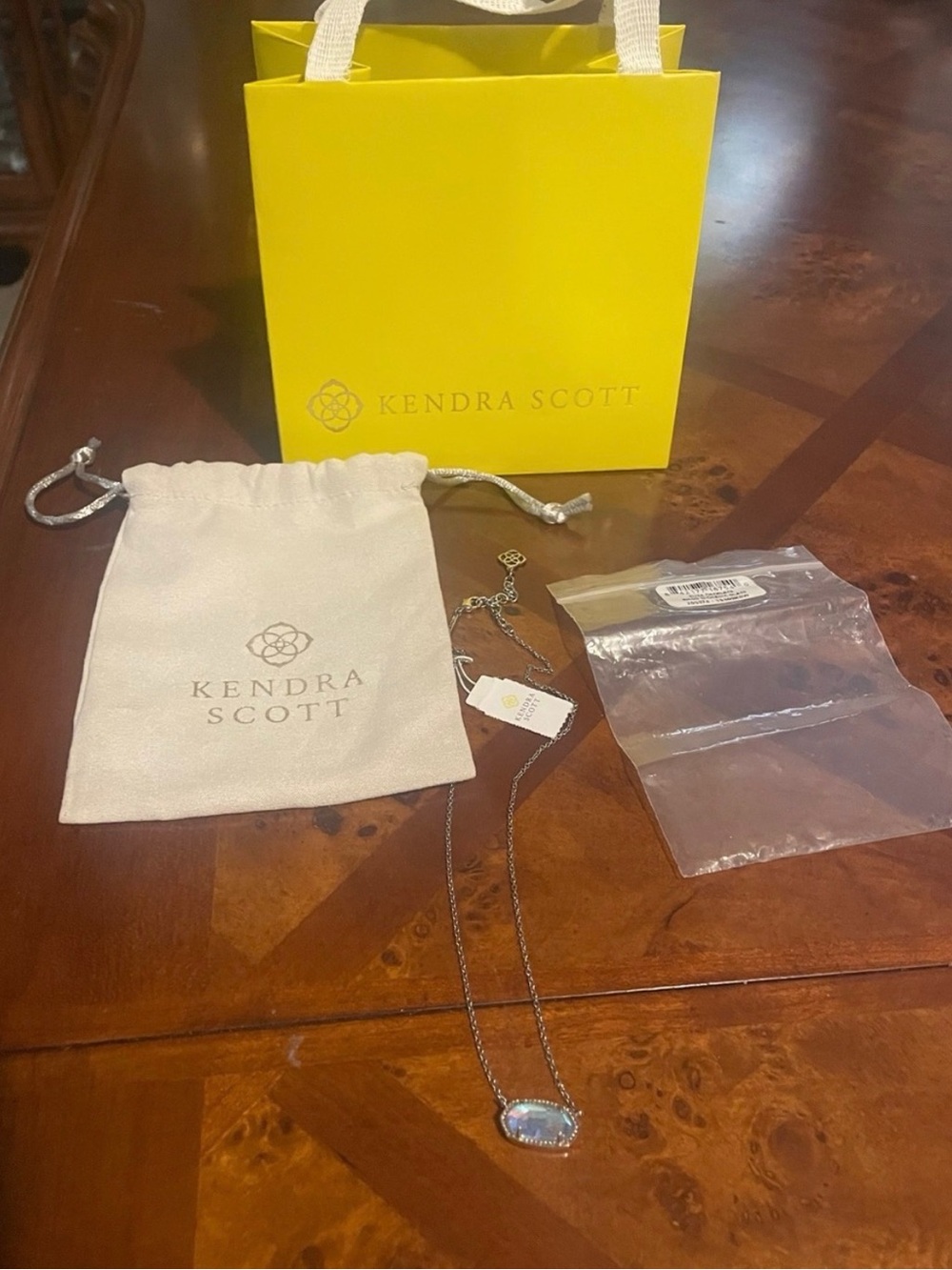 NWT-Kendra Scott Silver Iridescent Pendant Necklace